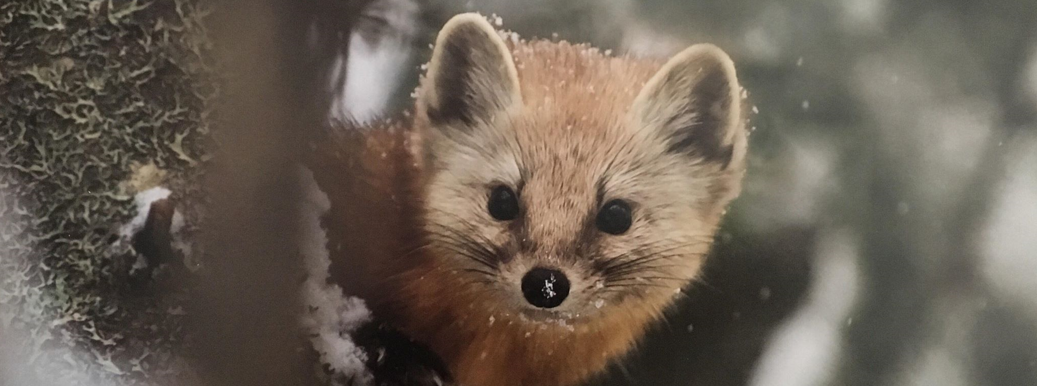 calendarslide calendarslide