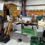 PXL_20240824_173652931