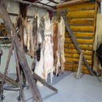 PXL_20240824_173712118