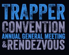 Screenshot-2025-07-29-170309